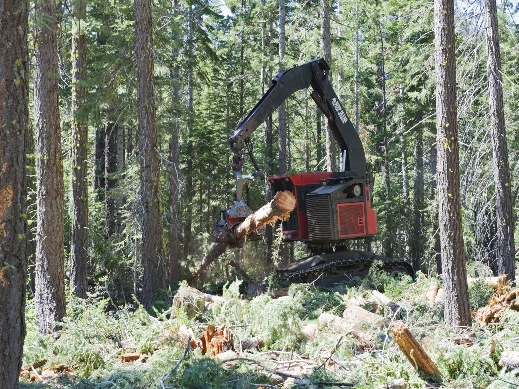 Our Work Solutions Forestry Services